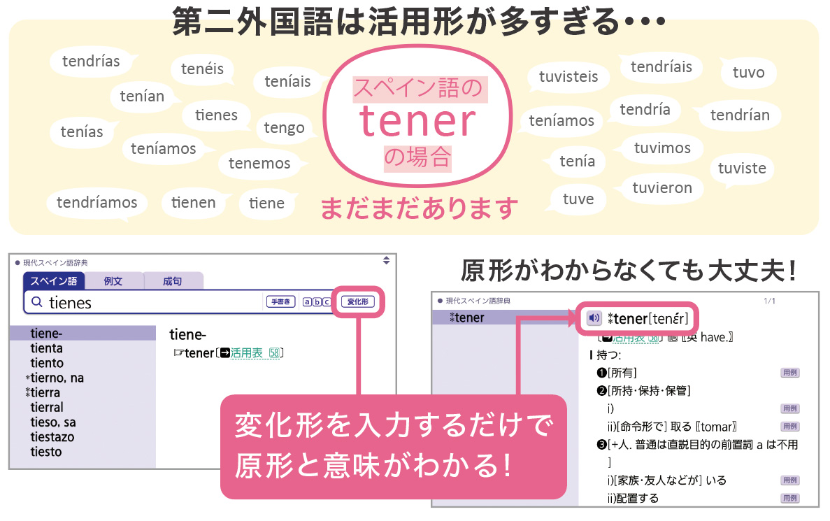 複数形・変化形からでもそのまま検索可能